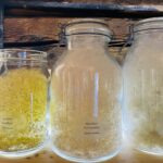 Luonnontaiteen museo - Anni Rapinojan avajaiset 13. - 14.6.