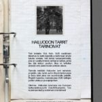 Hailuodon tarrit tarinoivat kirjastolla