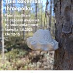 Toiminnallisen taidepolut avajaiset