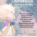 4H:N Lintupäivä alakouluikäisille