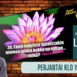 Loman baaripähkinä perjantaisin