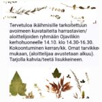 Taidekerho Ojavilikin kerhohuoneella ikäihmisille