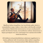 Olli Seikkulan konsertti kirkossa